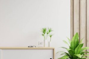 asset-1-2-1000x930 asset-1-2-1000x930